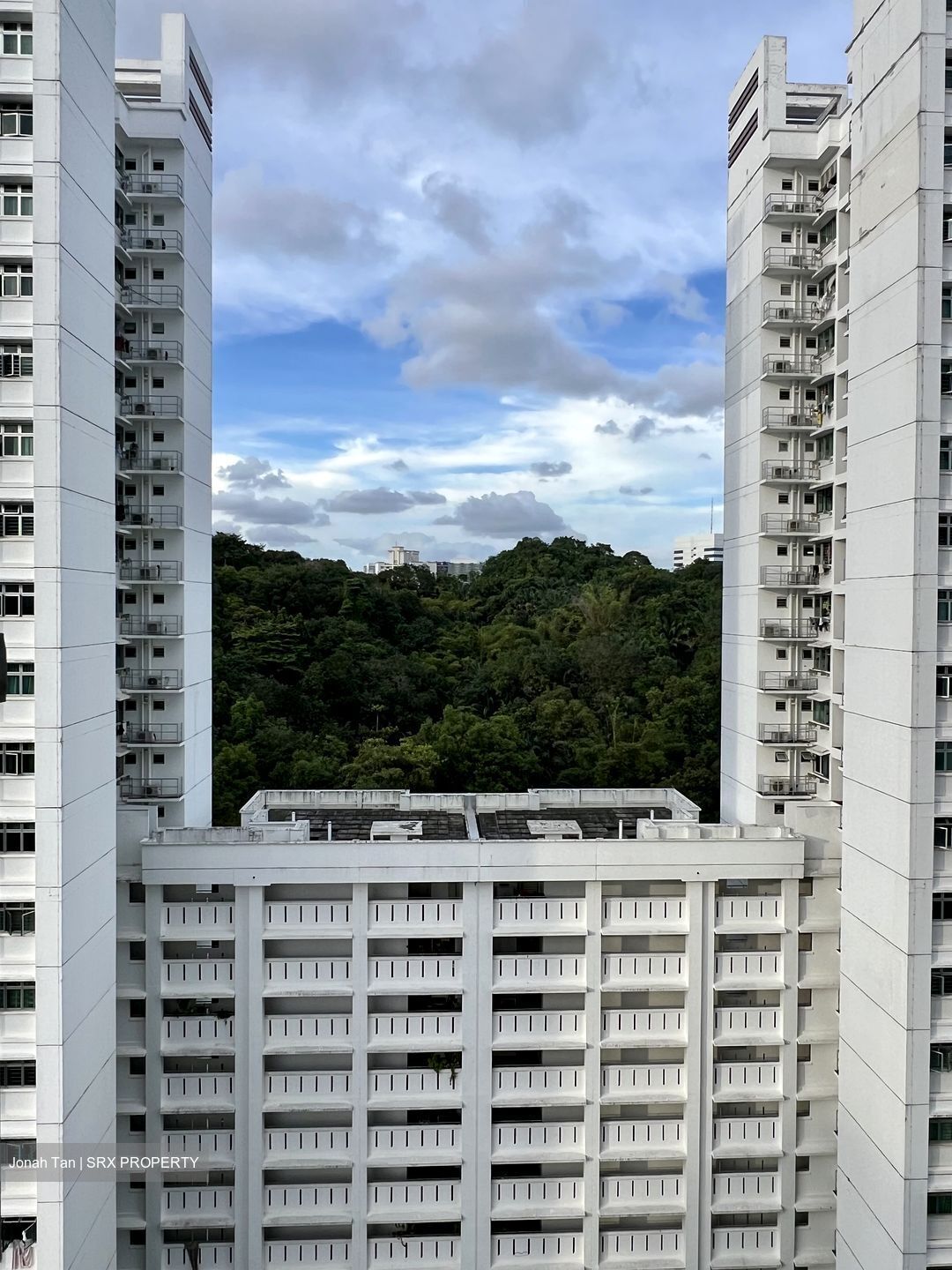 Blk 70C Telok Blangah Ridgeview (Bukit Merah), HDB 4 Rooms #447762581